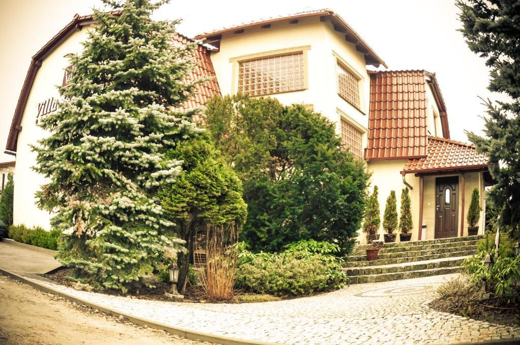 Villa Jasmin زيلونا غورا المظهر الخارجي الصورة