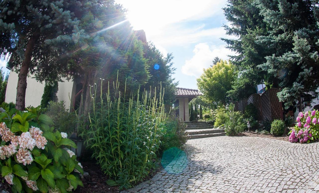 Villa Jasmin زيلونا غورا المظهر الخارجي الصورة