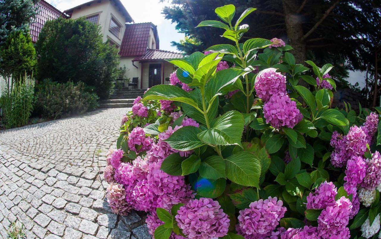 Villa Jasmin زيلونا غورا المظهر الخارجي الصورة